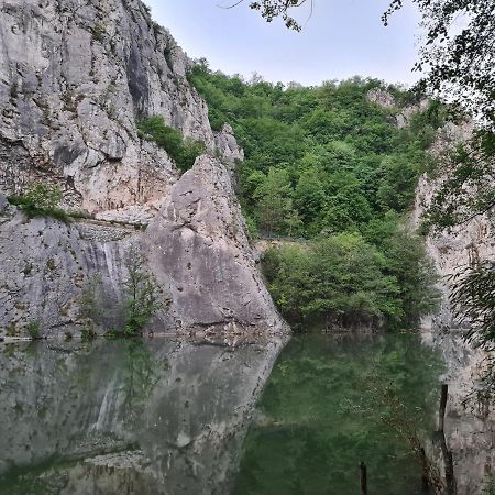 Willa Ribarev San Ovcar Banja Zewnętrze zdjęcie