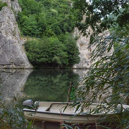 Willa Ribarev San Ovcar Banja Zewnętrze zdjęcie