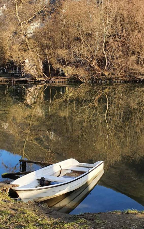 Willa Ribarev San Ovcar Banja Zewnętrze zdjęcie